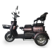 Триколісний електроскутер FADA Teni 650W